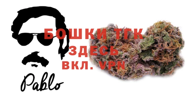 ECSTASY Пересвет