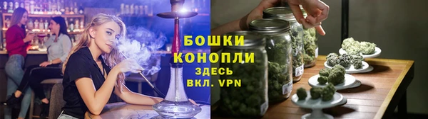 ГАЛЛЮЦИНОГЕННЫЕ ГРИБЫ Пестово