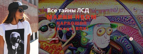 ECSTASY Пересвет