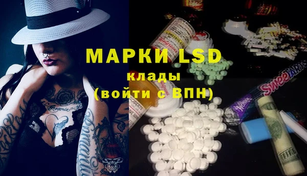 ECSTASY Пересвет