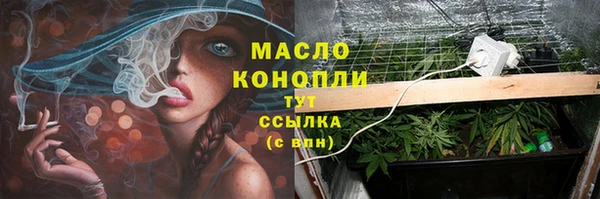 ГАЛЛЮЦИНОГЕННЫЕ ГРИБЫ Пестово