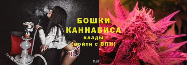 дурь Ельня