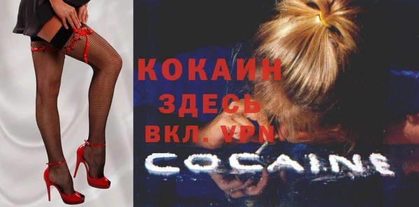 ПСИЛОЦИБИНОВЫЕ ГРИБЫ Кондопога