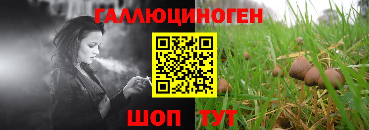 Саяногорск  Галлюциногенные грибы ЛСД  Вход с VPN 